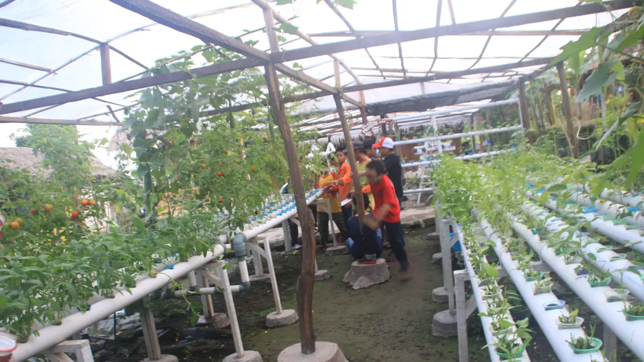 Jagoan Baru Wisata Jogja