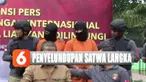 Satwa dilindungi ini masuk melalui pelabuhan tidak resmi di perairan Dumai, Riau.