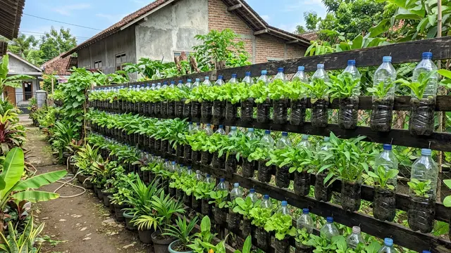 Desain Kebun Mini di Pagar Rumah Pakai Botol Plastik (AI Generated)