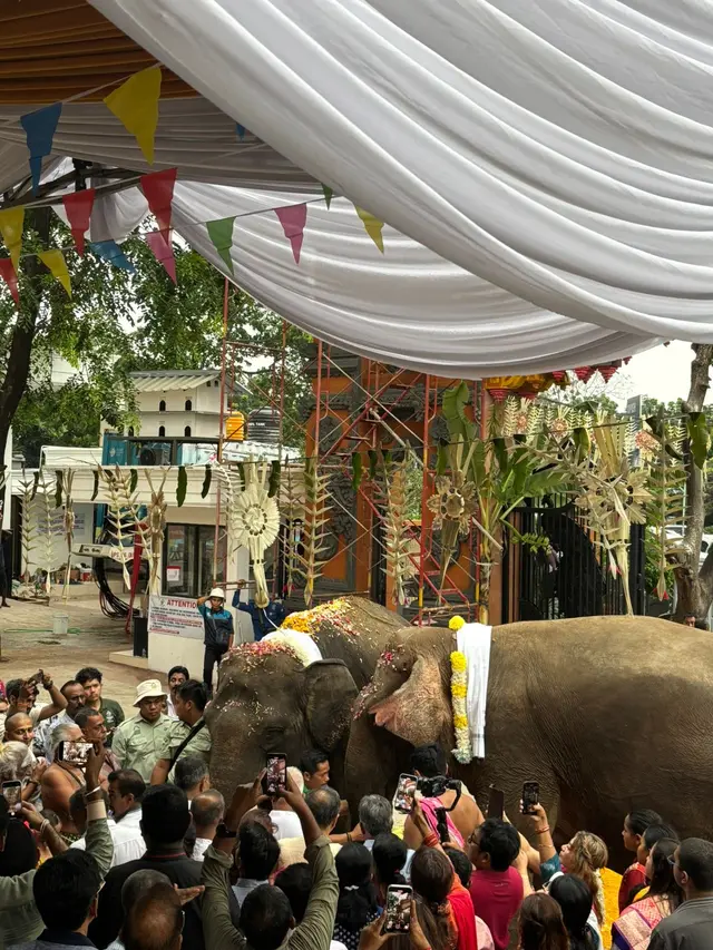 2 Ekor Gajah Disiapkan untuk Peresmian Kuil Hindu Terbesar di Indonesia