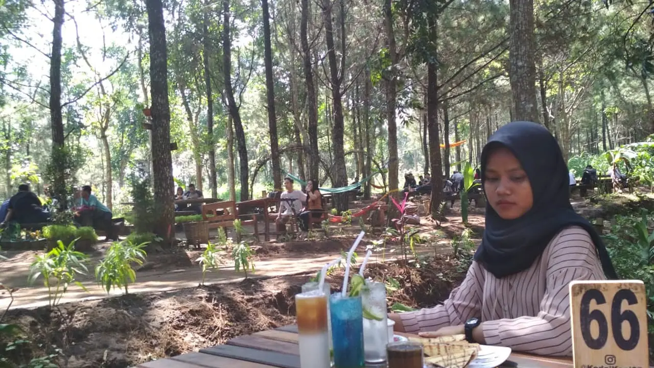 Hutan Pinus Kediri