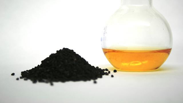 Ilustrasi Jintan Hitam