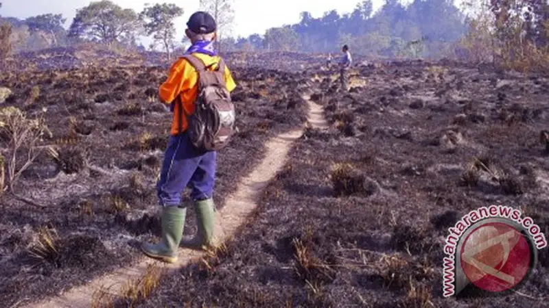 Kawasan Hutan Rinjani Masih Terbakar, 2 Tim Pemadam Dikerahkan