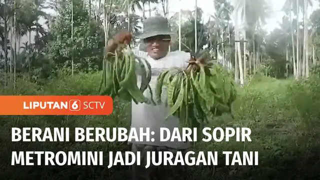 Kehidupan kerasnya dulu sebagai sopir metromini, membuat mental Omrizal Chan seolah ditempa bak besi. Ketika memutuskan pulang kampung di Padang Pariaman, dirinya tak lantas kehilangan akal untuk menghidupkan lahan tidur sebagai sumber penghasilan.