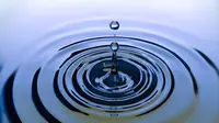 30 Quotes About Water That Will Change Your Life