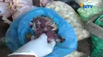 Petugas merazia mie berformalin dan daging sapi yang tak layak untuk dikonsumsi.