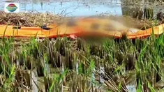 Saksi mata menuturkan, saat itu korban yang sedang berjualan minuman dan makanan untuk  petani yang bekerja di sawah diburu pelaku yang meminta secara paksa agar diberi uang Rp 500 ribu.
