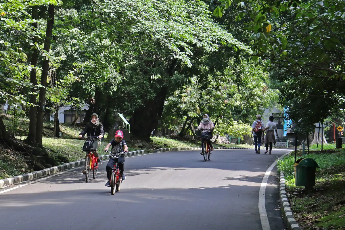 FOTO: Hore, Kebun Raya Bogor Kembali Dibuka