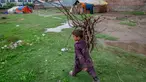 Bocah pengembara Kashmir Bakarwal membawa kayu bakar dari ladang terdekat di luar kamp sementara di pinggiran Srinagar, India, 31 Agustus 2020.  Suku Bakarwals adalah kaum penggembala nomaden di Jammu Kashmir, yang mengembara mencari padang rumput yang baik untuk ternak mereka. (AP Photo/Dar Yasin)