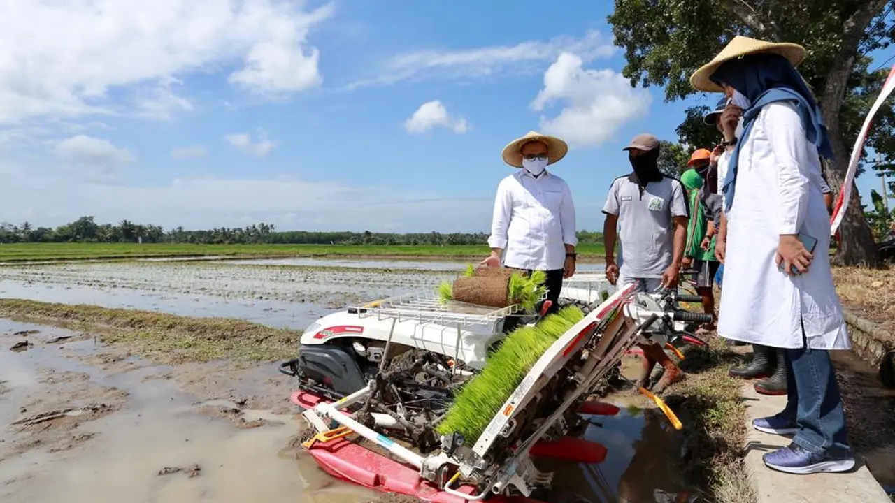Bupati Anas Dorong Petani Manfaatkan Alsintan Optimalkan Hasil Pertanian