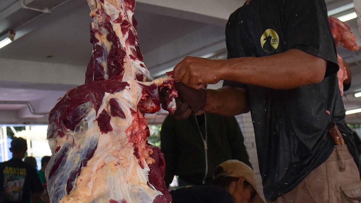 Daging Kurban Biasanya Dibagikan dalam Keadaan Mentah atau Olahan? Ini Ketentuan Syariah