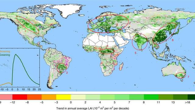 Peta Bumi kian hijau. (Nature Sustainability)