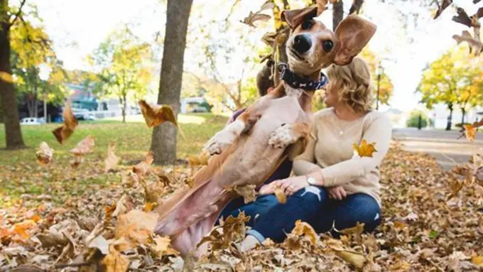 Foto: copyright Minnesota.cbslocal.com/DnK Photography