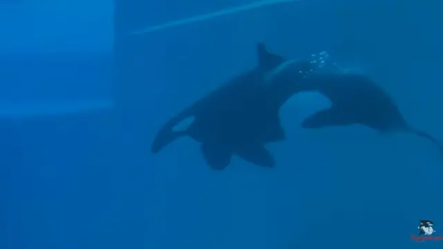 Kiska