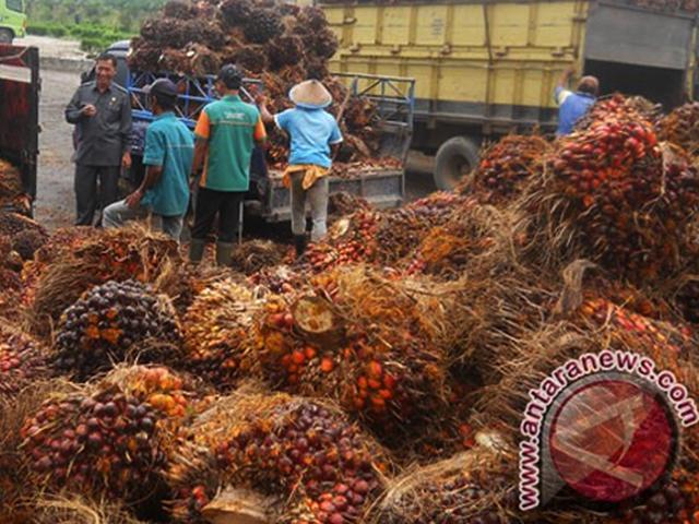 melestarikan industri minyak sawit negara