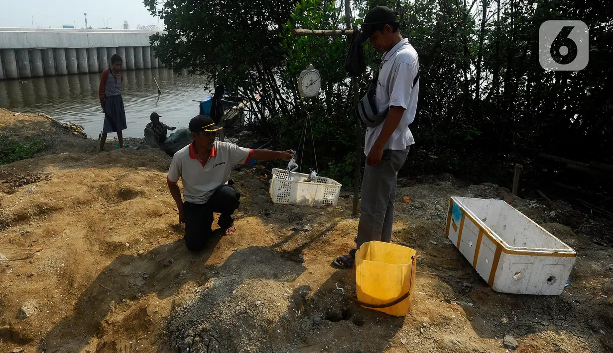 Nelayan menimbang rajungan hasil tangkapan kepada pembeli di kampung nelayan Dadap, Tangerang, Banten, Selasa (8/8/2023). (merdeka.com/Arie Basuki)
