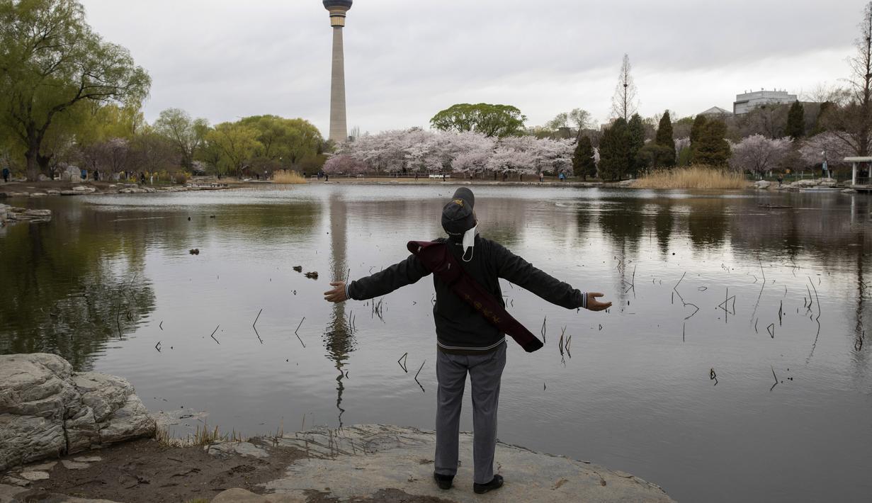 FOTO Bunga  Sakura  Bermekaran Pikat Warga Beijing Keluar 