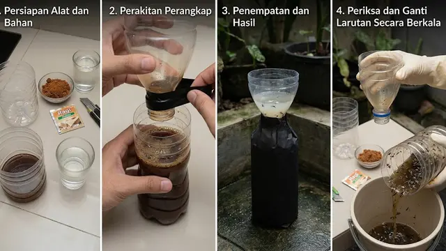 Cara Membuat Perangkap Nyamuk tanpa Obat Nyamuk Bakar, Praktis Pakai Bahan Sederhana