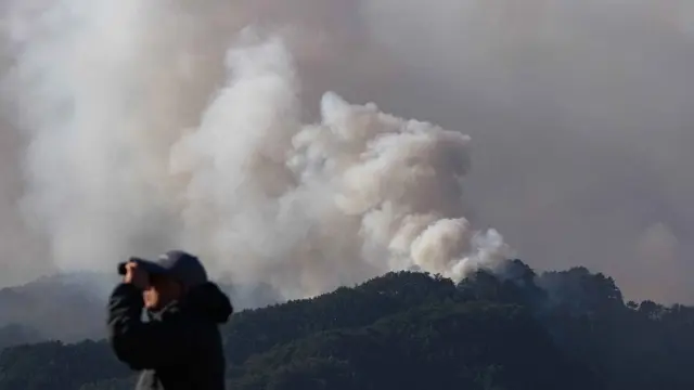 Kebakaran Hutan Hebat Landa Jepang, Ribuan Orang Dievakuasi