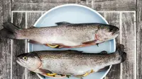 Mengenal DNA Trout untuk Perawatan Kecantikan Regeneratif