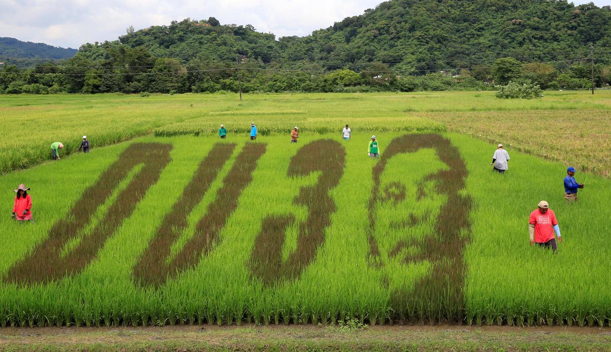 Wow Ada Lukisan Wajah Presiden Filipina Di Atas Sawah Foto Liputan6 Com