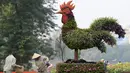 Sebuah tanaman hias berbentuk ayam terpajang di salah satu taman di Hanoi, Rabu (25/1). Pemasangan tanaman berbentuk ayam tersebut dilakukan dalam rangka menyambut tahun baru Imlek. (AFP PHOTO / Hoang DINH NAM)