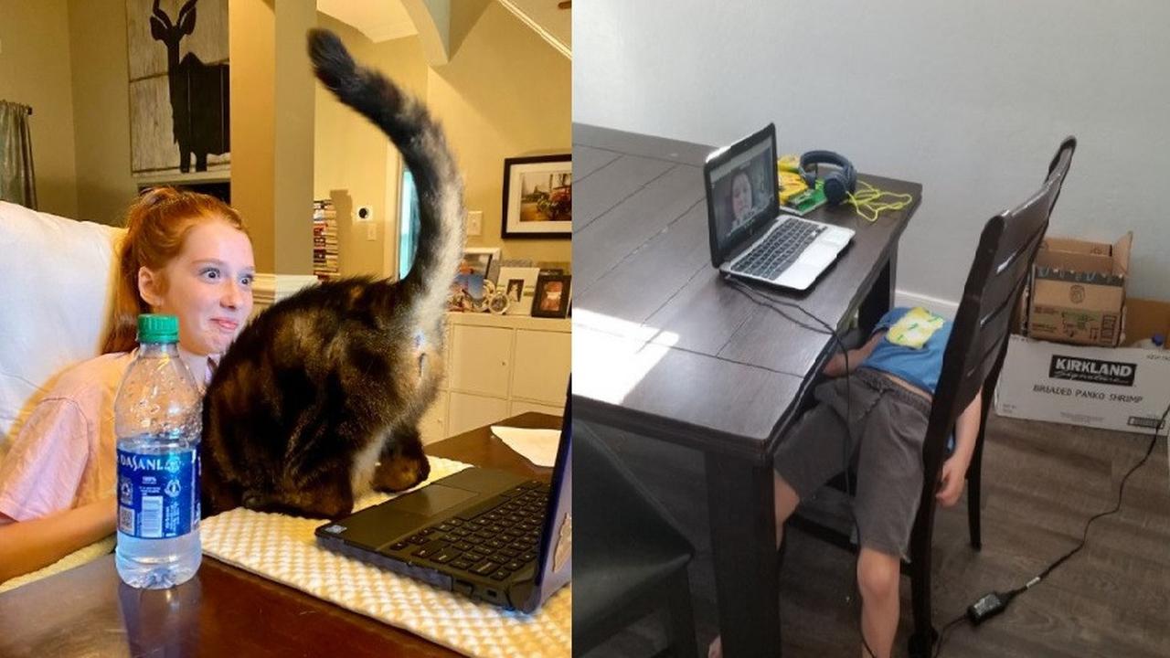 suka duka sekolah online