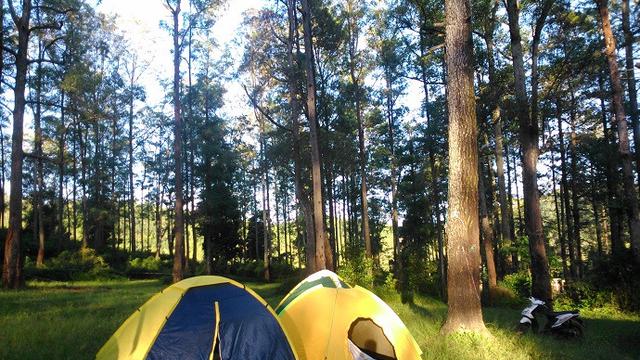 5 Tempat Berkemah Di Jawa Timur Cocok Untuk Liburan Bareng