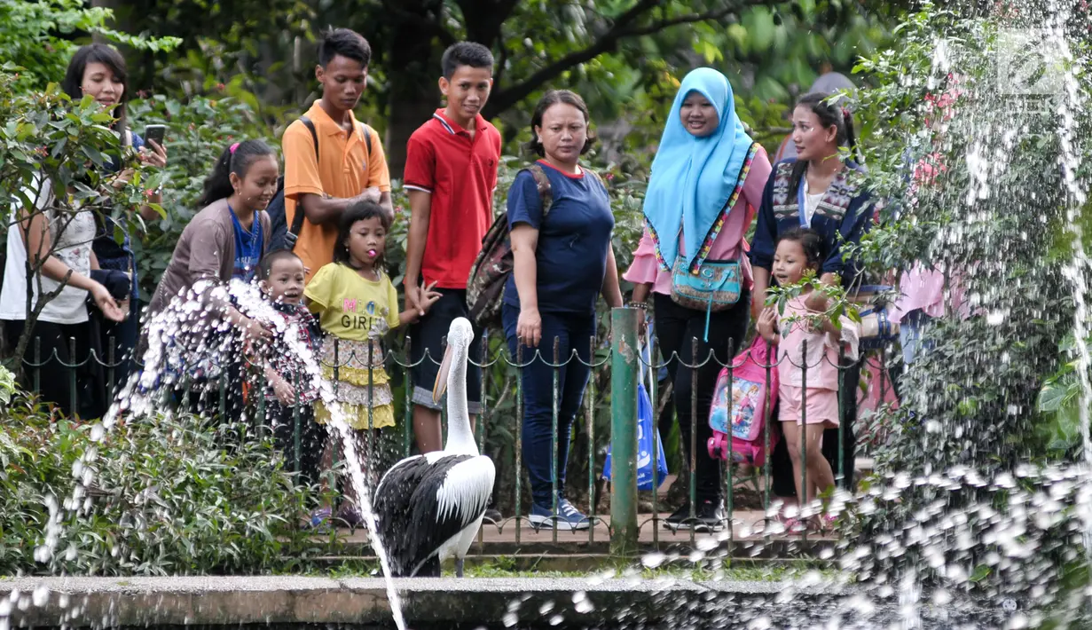 Sejumlah warga melihat burung flamingo saat berwisata ke Taman Margasatwa Ragunan, Jakarta, Senin (26/6).  Jumlah pengunjung Ragunan pada hari ke-2 Lebaran ini diperkirakan mencapai 100 ribu orang. (Liputan6.com/Yoppy Renato)