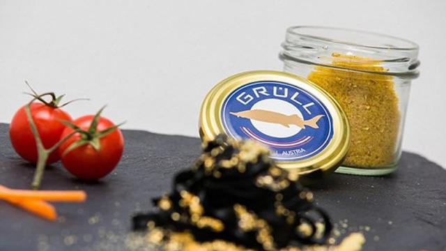 Rp 515 Juta Per Satu Suapan, Albino Caviar Jadi Makanan Termahal