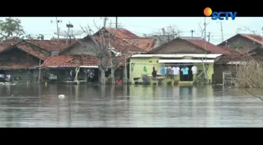Ribuan rumah dari empat kelurahan di Pekalongan, Jawa Tengah, masih terendam banjir akibat meluapnya air laut ke permukiman warga.