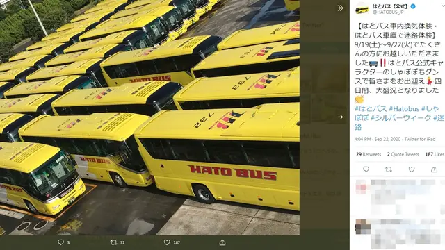 Puluhan Bus Jadi Wisata Labirin Usai Setop Beroperasi karena Covid-19