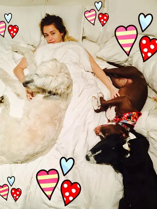 Selain terkenal sebagai aktor hebat, ternyata Liam Hemsworth juga pria romantis. Terbukti dengan hadiah dan kejutan yang diberikan untuk Miley di hari ulang tahun penyanyi cantik tersebut. (Instagram/Mileycyrus)