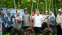 Menyulap Singkong Menjadi Bioplastik, Produk Tembus Pasar Jepang