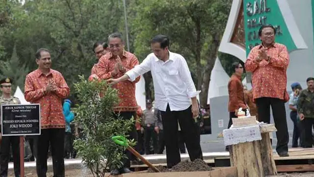 Pesan Presiden Jokowi Saat Resmikan Sail Selat Karimata 2016