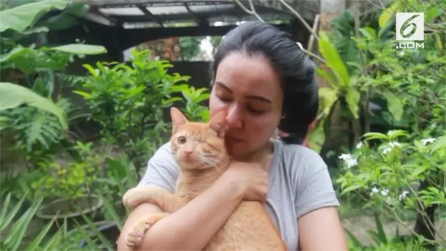 Seorang perempuan menghabiskan waktunya untuk mengurus kucing-kucing telantar di Pekanbaru, Riau. Jumlah kucing yang telah ia tampung adalah 158 ekor.