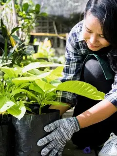 Ilustrasi Berkebun (Credit: Freepik)