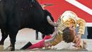 Seorang matador dari Prancis Andy Younes ditanduk oleh banteng Spanyol Jandilla saat kompetis Feria du Riz di Arles, Prancis (4/1). Matador muda ini tersungkur ke tanah usai ditanduk sang banteng. (AFP/Boris Horvat)