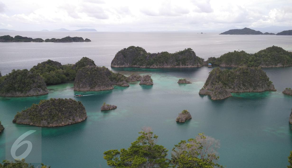 Suasana pemandangan Pulau Piaynemo di Kabupaten Raja Ampat, Papua Barat. Pulau ini menjadi salah satu ikon Raja Ampat dan tempat favorit para turis untuk berfoto-foto. (Liputan6.com/Zulfi Suhendra)