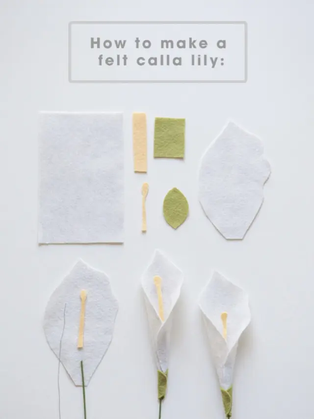 Cara membuat bunga: lily