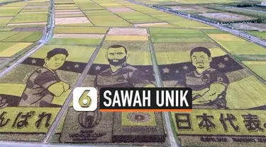 Sawah yang terletak di Gyoda, Jepang, disulap menjadi karya seni yang berbentuk para pemain rugby. Ini dilakukan dalam rangka menyambut Piala Dunia Rugby.