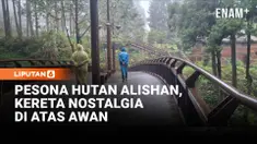 Alishan National Scenic Area di Chiayi, Taiwan, menawarkan panorama hutan berkabut, lautan awan, serta jalur kereta hutan bersejarah yang dibangun sejak era Jepang. Berada di ketinggian hingga 2.600 meter, kawasan ini menjadi salah satu destinasi wis...