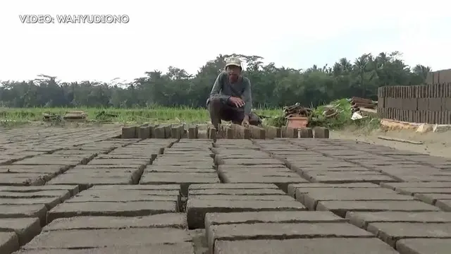 Untuk mencukupi kebutuhan hidup, warga di Kebumen, Jawa Tengah ini, memanfaatkan area sawahnya untuk membuat batu bata.