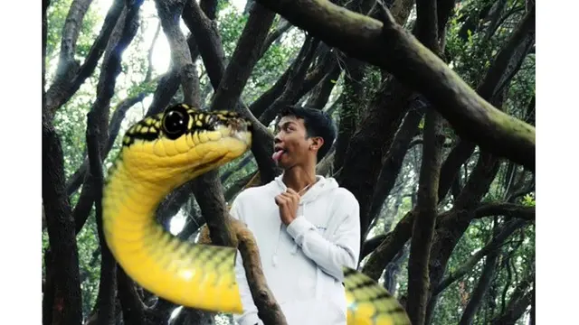Pria Ini Fotonya Minta Diedit Jadi Lucu, 7 Hasilnya Bikin Tepuk Jidat