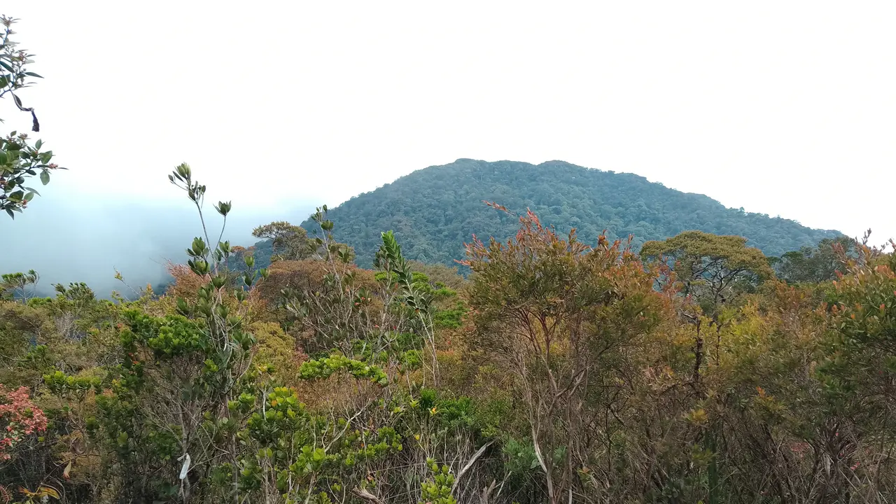 Gunung Benum di Malaysia. (Dok: Gunung Bagging)