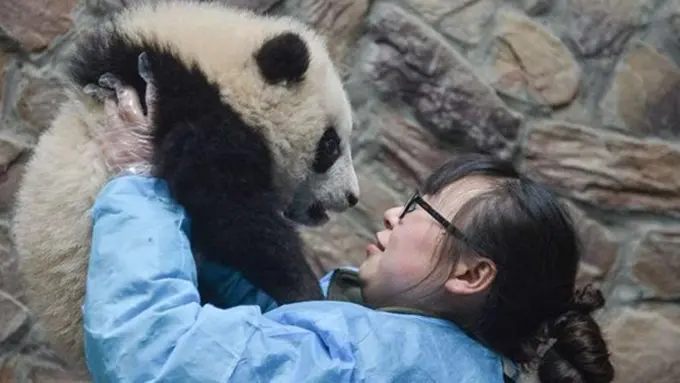 Photo: Copyright shanghaiist.com