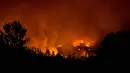 Pandangan udara saat kobaran api melahap hutan di wilayah Santiago, Chile (20/1). Presiden Michelle Bachelet mengatakan kebakaran ini terbesar dalam sejarah Chile. (AFP Photo/Martin Bernetti)