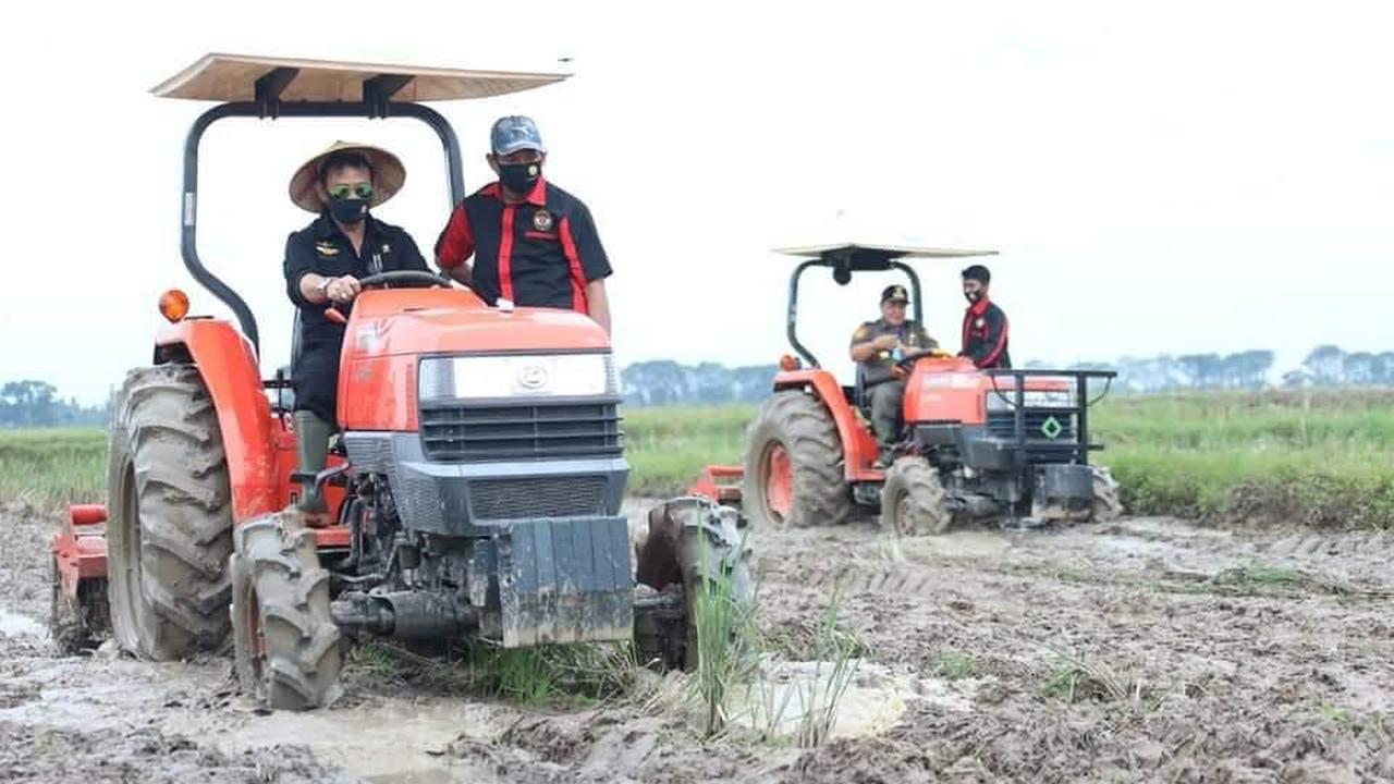 Mentan Syahrul Yasin Limpo mengungkapkan, salah satu faktor penyebab pertumbuhan kinerja sektor pertanian adalah musim tanam yang sukses meski Covid-19 masih mewabah. (Dok Kementan)