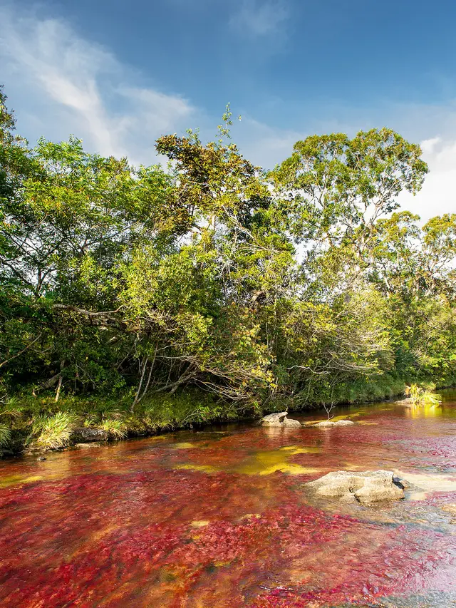 Serranía de La Macarena
