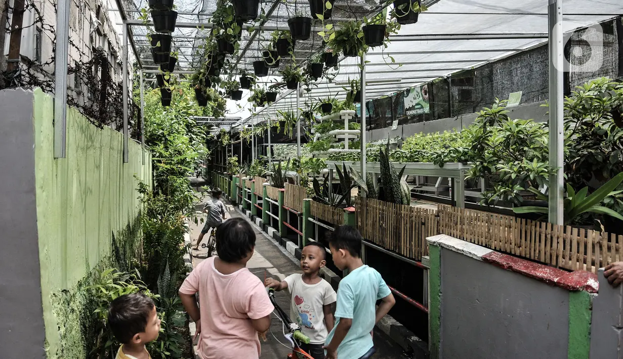 Refleksi cermin menunjukkan kebun sayur hidroponik Gang Hijau RT 007/008, Kelurahan Cipinang Besar Utara, Jakarta, Rabu (9/9/2020). (merdeka.com/Iqbal S. Nugroho)